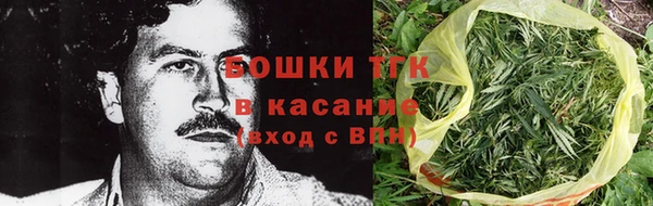 мдма Ельня