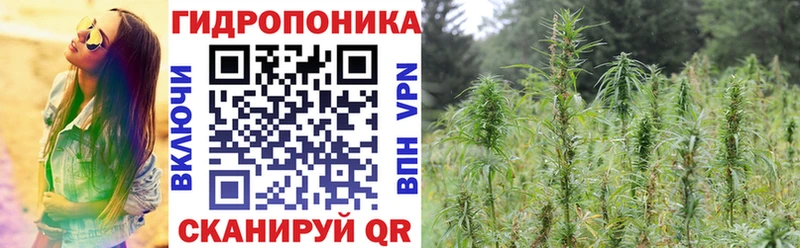 МАРИХУАНА ГИДРОПОН  Рудня 